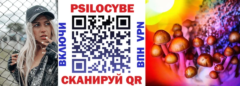 наркотики  Новокубанск  Псилоцибиновые грибы Cubensis 
